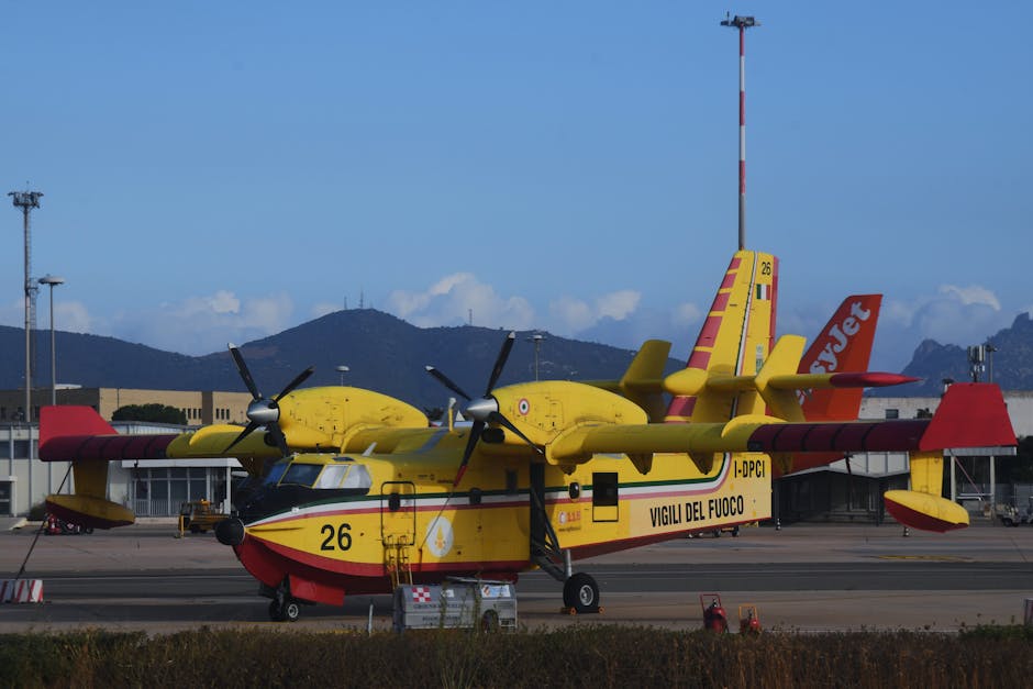 Vigili del fuoco domano incendio.