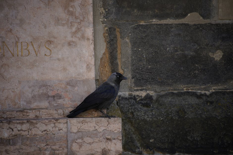 Palazzi Clerico Pineto degrado